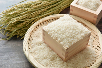 穀類、豆類、胡麻等