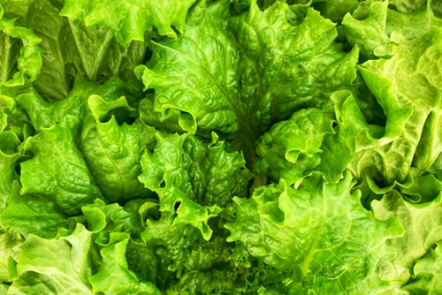 生野菜、フルーツ、肉製品